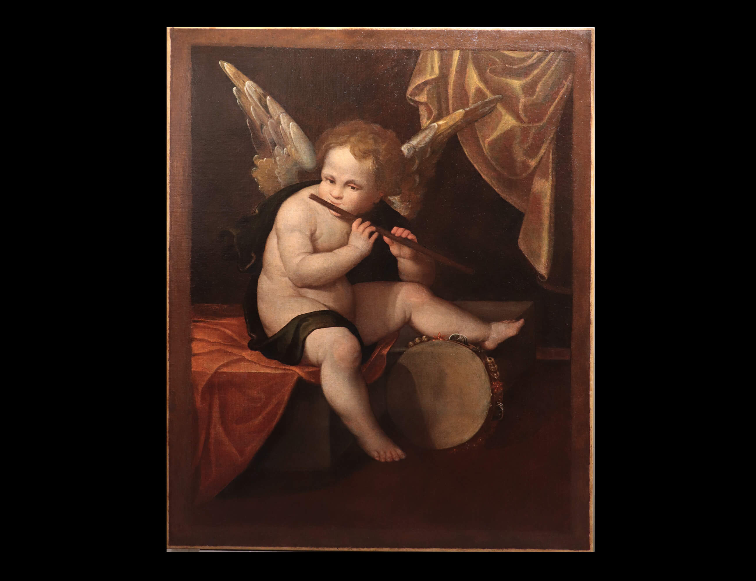 Angelo Musicante