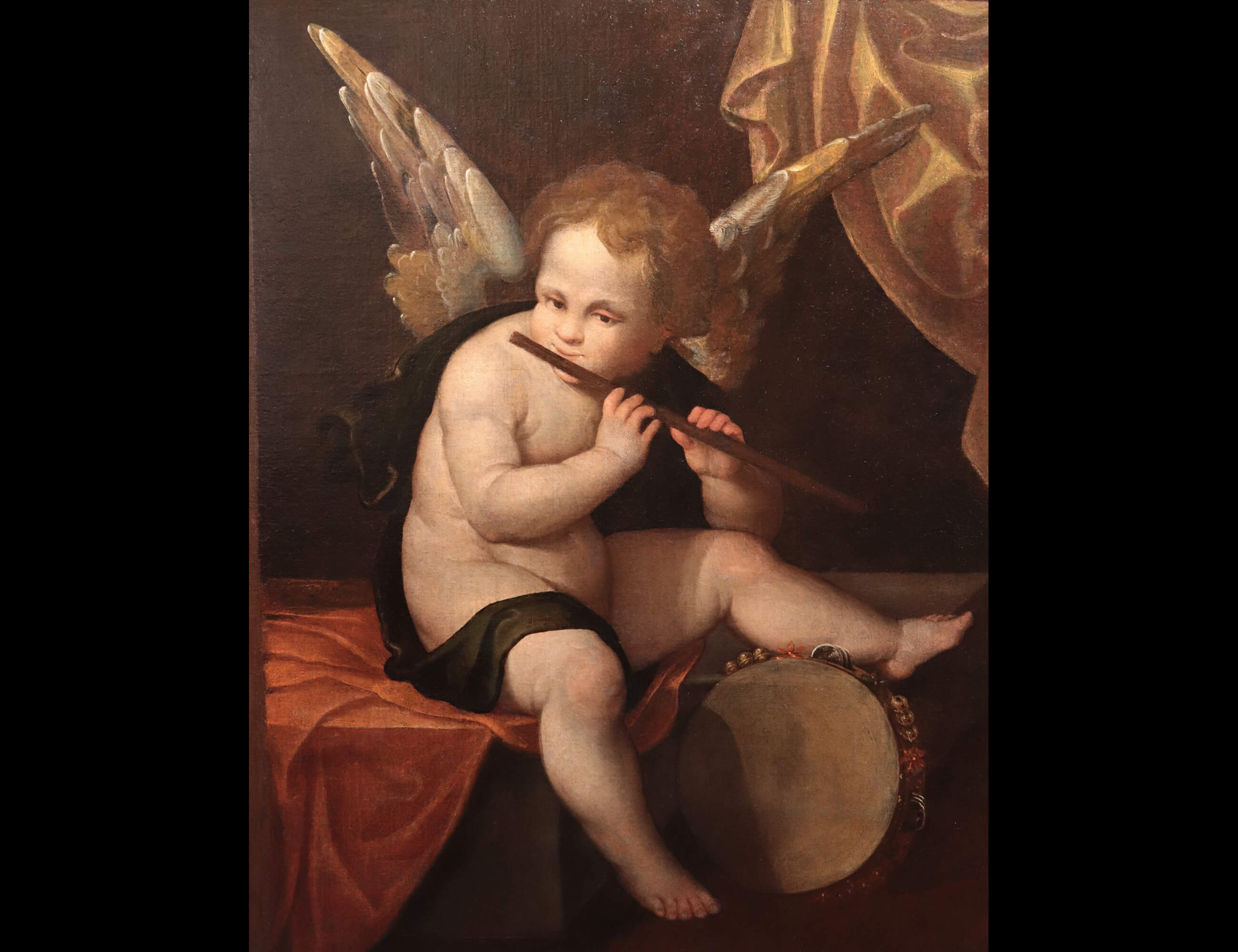 Angelo Musicante