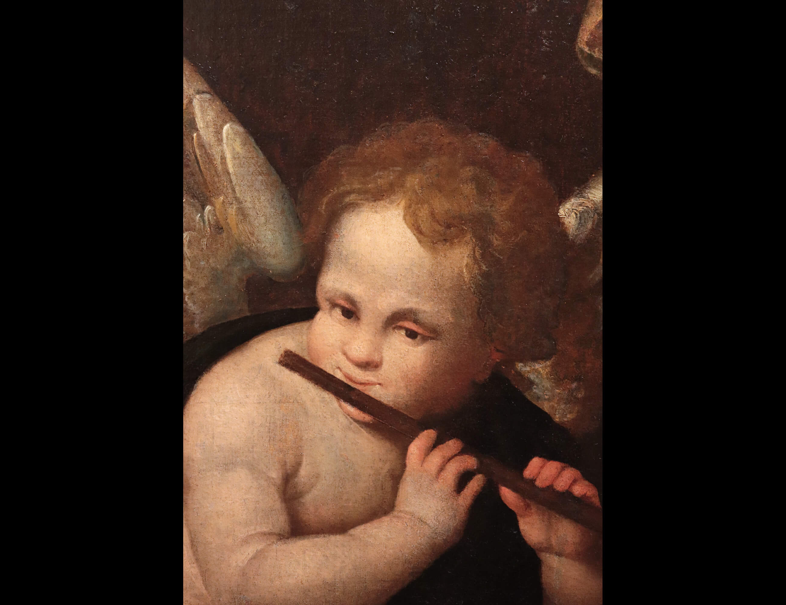Angelo Musicante